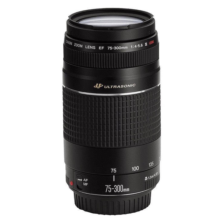 Canon EF 75-300mm F4-5.6 III